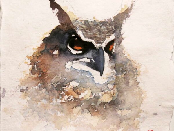 Porträtt av Berguven