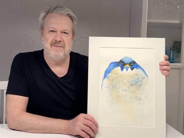 Porträtt av pilgrimsfalken